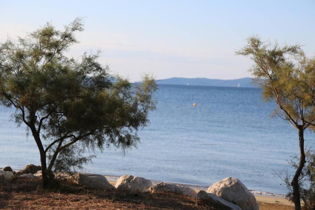 Suite 1 Chambre, 1 Sejour, Climatise, Piscines, 400M De La Mer La Londe-les-Maures Exteriör bild